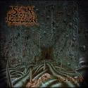 SPAWN OF POSSESSION / Cabinet