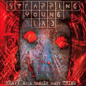 STRAPPING YOUNG LAD / Heavy As A Really Heavy Thing